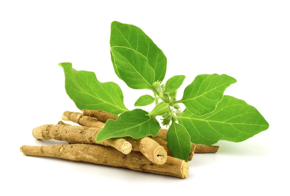 boost your libido with these mouth watering aphrodisiac foods 3