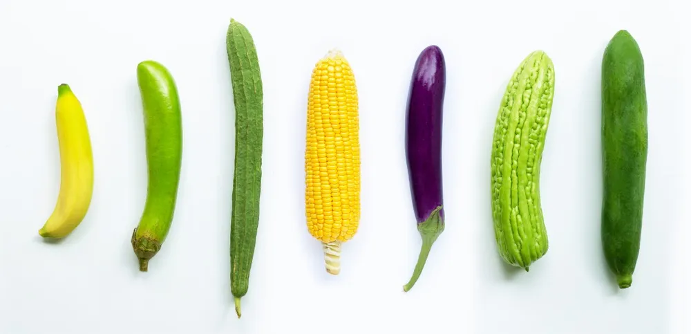 strangely intriguing unusual items women have used as dildos 7