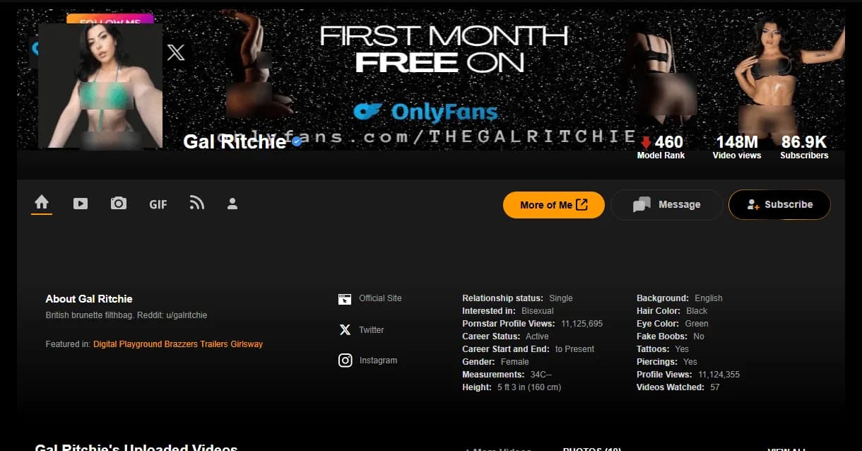 TPDBlog PornStars GalRitchie