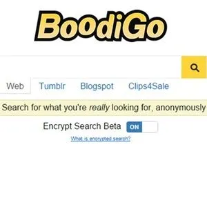 Boodigo review preview