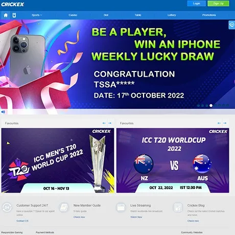 Crickex website preview