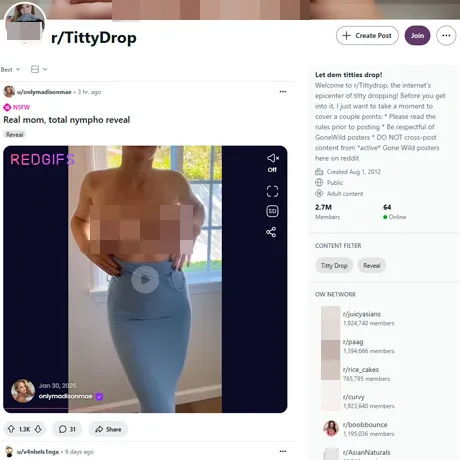 Reddit Titty Drop website preview