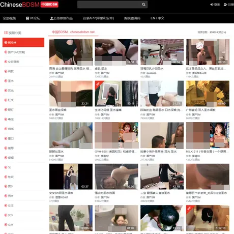 Chinese BDSM website preview