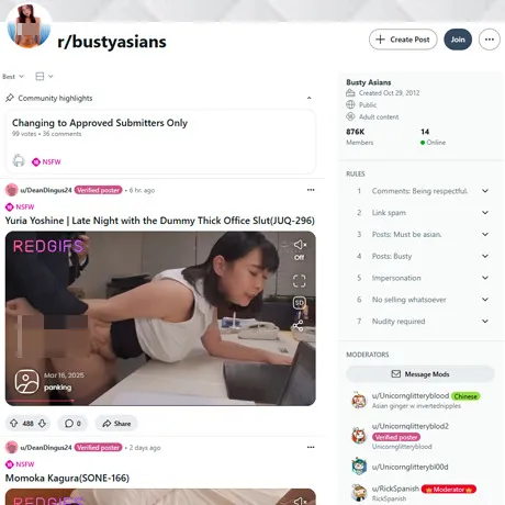 Reddit Busty Asians website preview