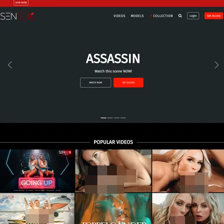 SenSex website preview