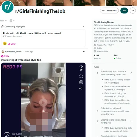 Reddit GirlsFinishingTheJob website preview