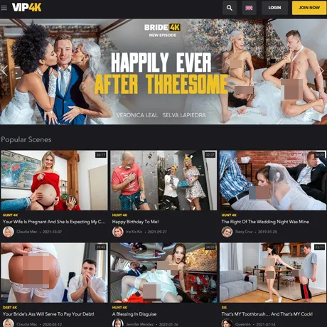 Vip4K website preview