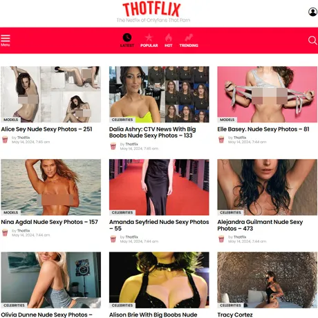 ThotFlix website preview