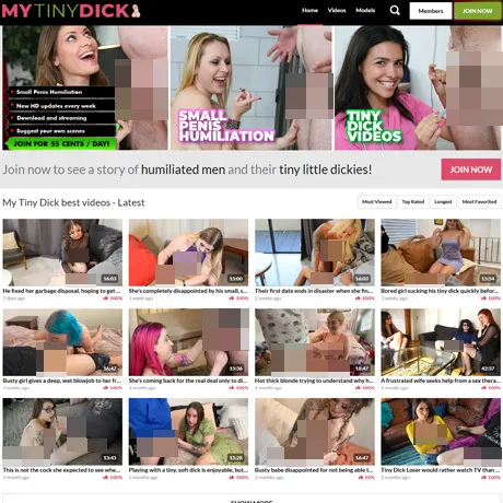 MyTinyDick website preview