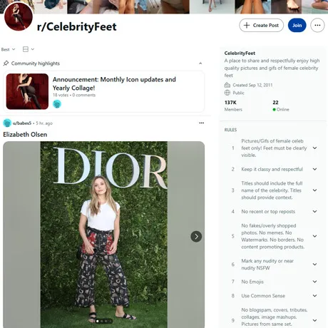 Reddit Celebrity Feet website preview