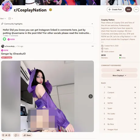 Reddit CosplayNation website preview