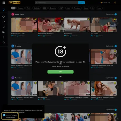 8K Porner website preview