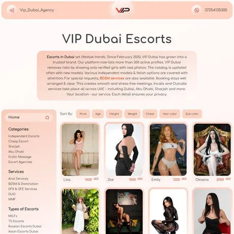 VIP Dubai Agency website preview