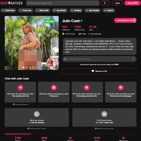 Julie Cash website preview