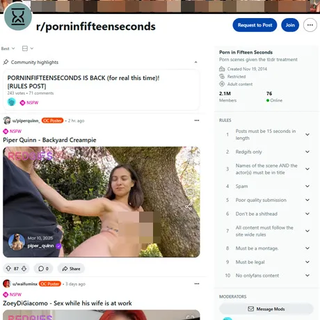Reddit Porn In Fifteen Seconds website preview