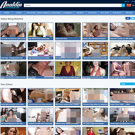 Analdin website preview