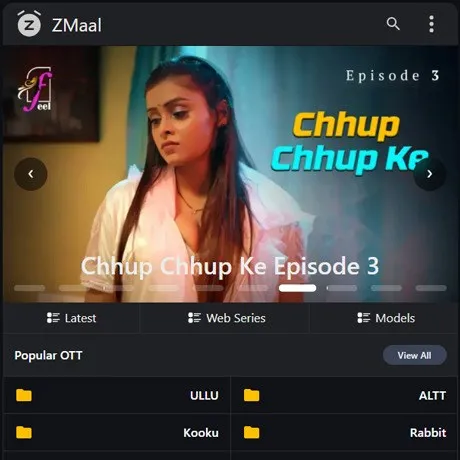 ZMaal website preview