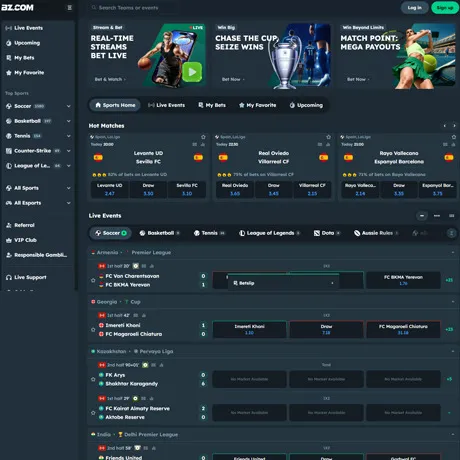 BZ.com website preview