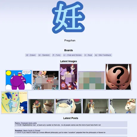 PregChan website preview