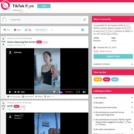 Reddit TikTok Porn website preview