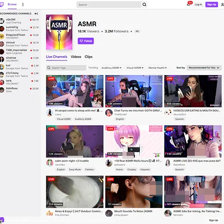 Twitch ASMR website preview