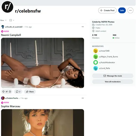 CelebNSFW Reddit website preview