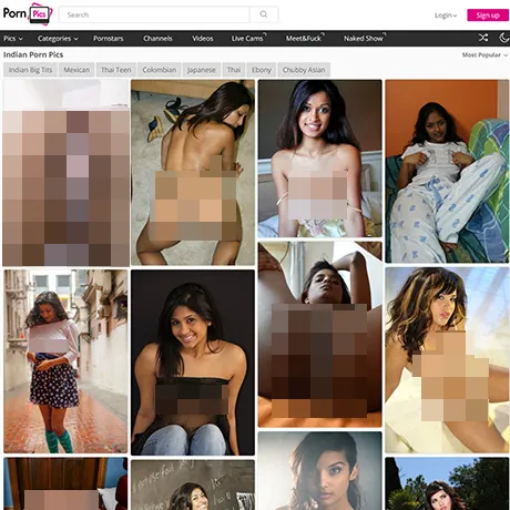 PornPics Indian website preview