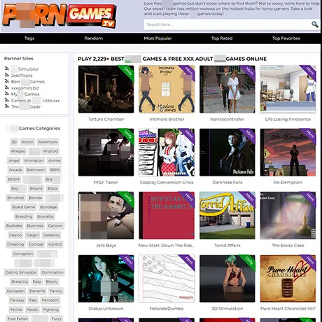 PornGames.tv website preview